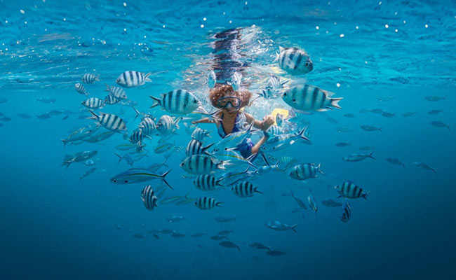 5 Reasons Why Fiji Is A Must-Visit For Adventure Seekers