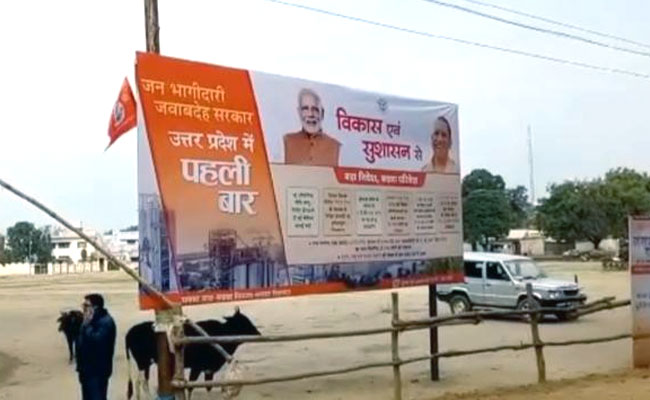 For Yogi Adityanath Visit, UP Orders Engineers To Catch Cows, Retracts