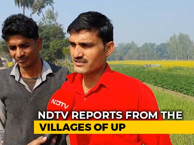 In UP Villages, Support For BJP's CAA Stand But Anger Against Yogi Adityanath Over Local Issues