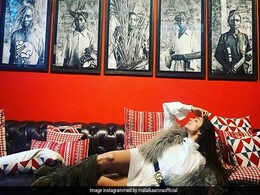 Malaika Arora's 'Gutsy' Lounging Pic Will Make You Rethink Your Plans For Today Malaika Arora's 'Gutsy' Lounging Pic Will Make You Rethink Your Plans For Today