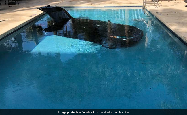 Pics Of A Car In Hotel Swimming Pool Lead To Hilarious Comments
