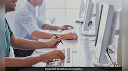 IBPS PO Prelims 2025 From August 17, Know How To Navigate And Answer Questions