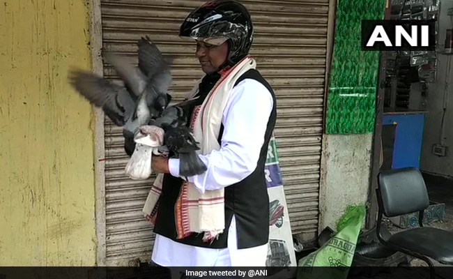 "Pigeons Recognise Me": How Odisha Traffic Cop Got "Birdman" Name