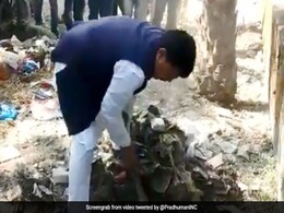Watch: Madhya Pradesh Minister Picks Up Spade, Clean Dry Waste Watch: Madhya Pradesh Minister Picks Up Spade, Clean Dry Waste