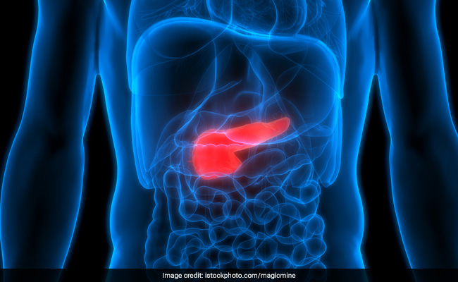 The Significance Of Early Detection In Enhancing Pancreatic Cancer Treatment Outcomes