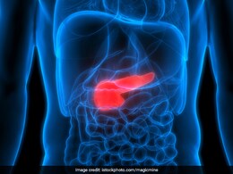 शरीर का ये छोटा-सा अंग है बड़े काम की चीज, कंट्रोल करता है डायबिटीज़ और पाचन