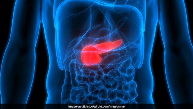 Our diet can influence the health of our pancreas