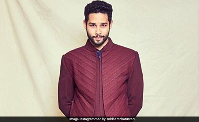 Siddhant Chaturvedi's Response To  Ananya Panday's Nepotism Comments Wins Over Twitter