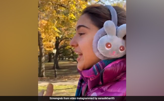 Sara Ali Khan Video: सारा अली खान ने फिर मचाई इंटरनेट पर धूम, शेयर किया नए अंदाज वाला वीडियो