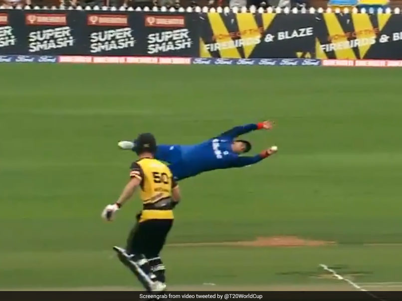 Watch: New Zealand Cricketer's One-Handed "Flying" Catch Is The Stuff Of Dreams