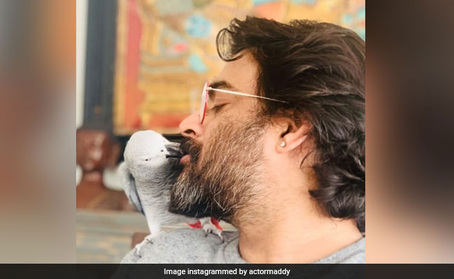 Stop It, Madhavan. His 'Smooch Of The Day' Pic Is Too Cute To Handle