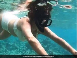 सारा अली खान समुद्र में यूं गोते लगाती आईं नजर, बोलीं- जलपरी, मैं चली...देखें Video सारा अली खान समुद्र में यूं गोते लगाती आईं नजर, बोलीं- जलपरी, मैं चली...देखें Video