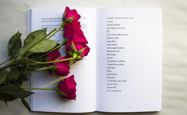 Happy Rose Day 2020: Greetings, Pictures, Wallpapers For Your Partner
