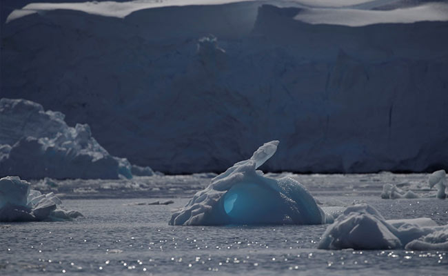 Antarctica Records Hottest Temperature Ever At 18.3 Degrees