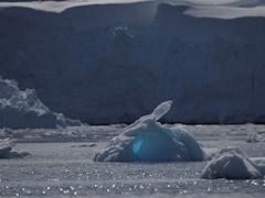 Global Antarctic Research Declines Amid Growing Climate Crisis