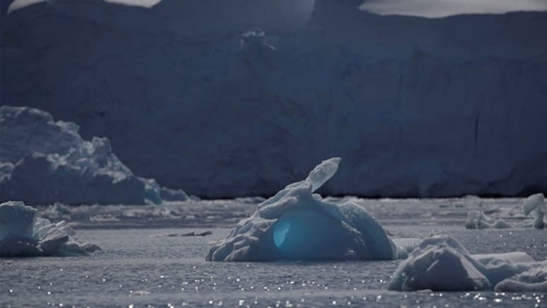 Global Antarctic Research Declines Amid Growing Climate Crisis