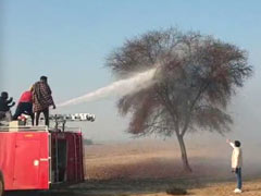 Indian Professor Asks Pak Counterpart For Solution To Locust Swarm Attack