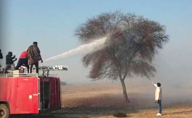 Indian Professor Asks Pak Counterpart For Solution To Locust Swarm Attack