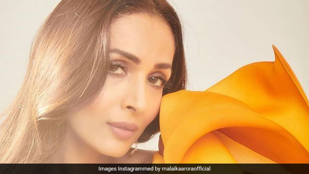 Malaika Arora's Latest Quarantine Meal May Prompt You To Don The Apron Too (See Pics Inside)