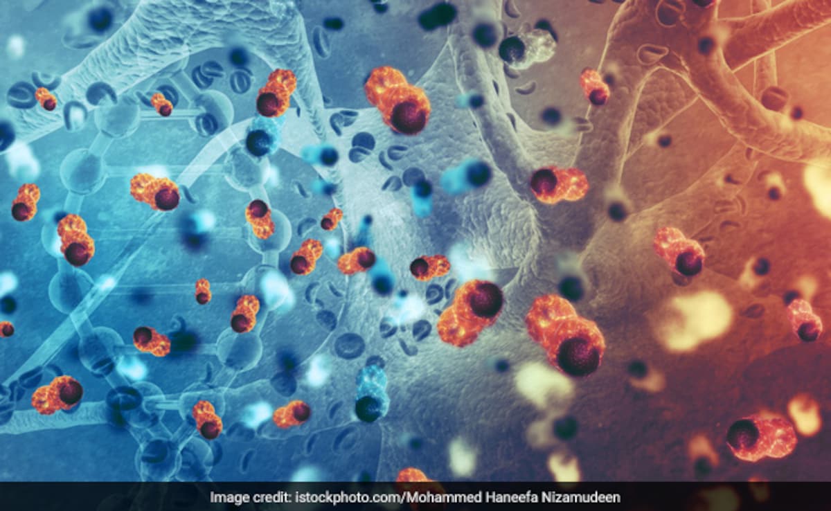 What's The Difference Between A Tumour And Cancer?