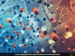 What's The Difference Between A Tumour And Cancer?