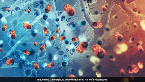 Cancer Cells 'Reprogramme' Immune Cells To Foster Tumour Growth, Finds New Study