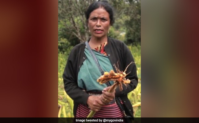 Meghalaya Woman Who Led Turmeric Farming Movement Receives Padma Shri