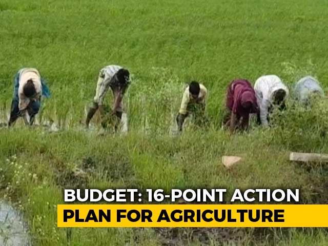 Did Budget Meet Farmers' Expectations?