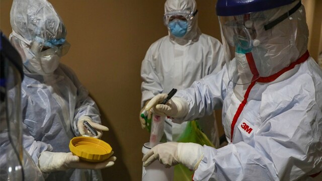 The novel coronavirus emerged in Wuhan in December