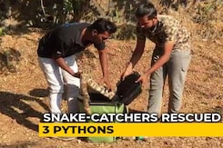 Watch: Snake-Catchers Put Big Python Into Bag, Zip Them In Mumbai Watch: Snake-Catchers Put Big Python Into Bag, Zip Them In Mumbai