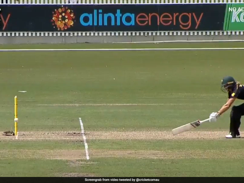AUSW vs INDW: Meg Lanning Gets Lucky Reprieve As Stump Mic Comes To Australia Captain's Rescue. Watch