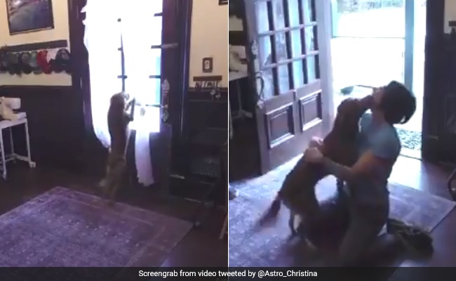 Happiest Reunion As NASA Astronaut Meets Her Dog After 328 Days In Space. Watch