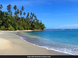 Four Survive 32 Days Adrift In Pacific, Ate Coconuts, Drank Rainwater Four Survive 32 Days Adrift In Pacific, Ate Coconuts, Drank Rainwater
