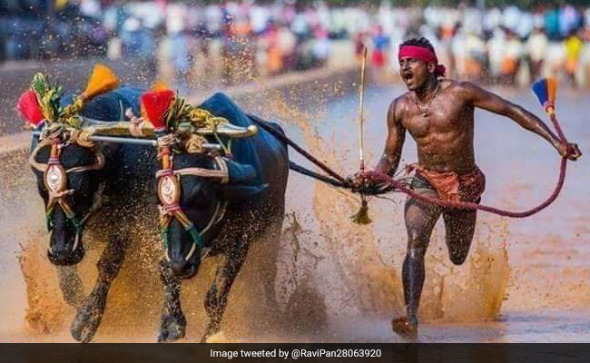 Karnataka Man's "Usain Bolt" Speed Stumps Twitter