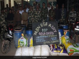 889 Kg Of Marijuana Seized, 4,500 Ganja Plants Destroyed By BSF In Tripura 889 Kg Of Marijuana Seized, 4,500 Ganja Plants Destroyed By BSF In Tripura