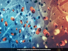 Leukemia: Understanding Cancer, Its Causes And Treatment Options Leukemia: Understanding Cancer, Its Causes And Treatment Options