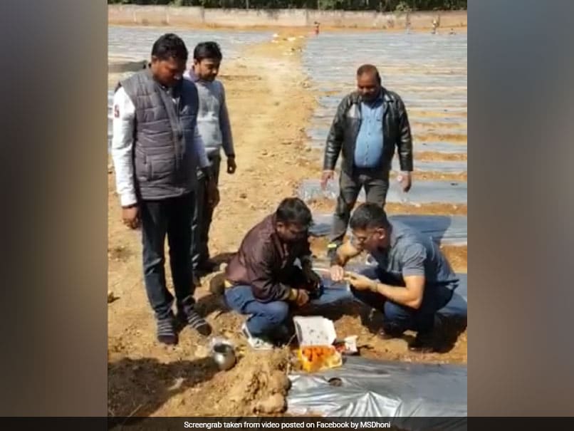 क्रिकेटर MS Dhoni बने किसान, आर्गेनिक खेती में आजमा रहे हाथ, देखें VIDEO