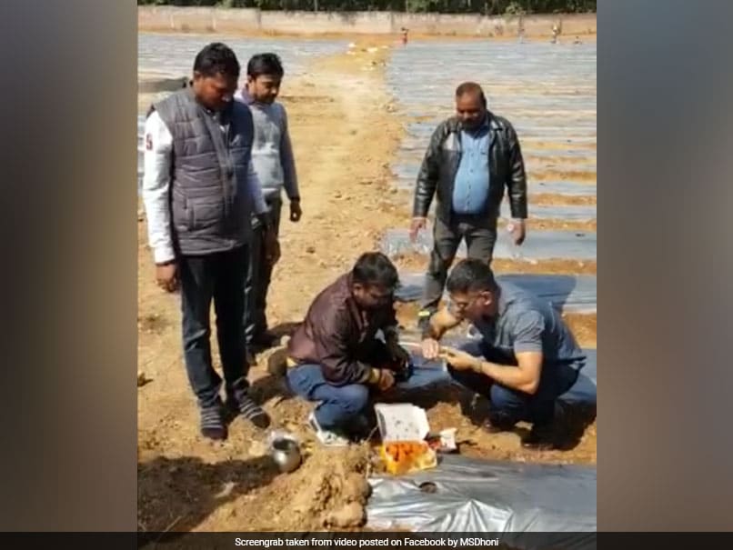 क्र‍िकेटर MS Dhoni बने क‍िसान, आर्गेन‍िक खेती में आजमा रहे हाथ, देखें VIDEO