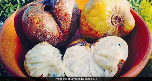 Nutritionist Rujuta Diwekar Recommends Ramphal: 5 Things You Should Know About The Seasonal Fruit