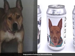 3 साल पहले घर छोड़ कर चला गया था डॉग, अब बीयर कैन की मदद से मालिक को मिला वापस 3 साल पहले घर छोड़ कर चला गया था डॉग, अब बीयर कैन की मदद से मालिक को मिला वापस