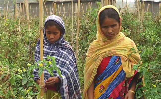 15 Official Documents Can't Prove She's Indian: Assam Woman's Ordeal