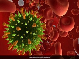 Coronavirus: प्लास्टिक की चीजों पर कोरोनावायरस दो से तीन दिन रह सकता है जिंदा! इन बातों का रखें ध्यान Coronavirus: प्लास्टिक की चीजों पर कोरोनावायरस दो से तीन दिन रह सकता है जिंदा! इन बातों का रखें ध्यान