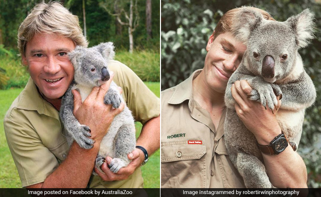 Steve Irwin's Son Recreates His Iconic Koala Pic. It Has Fans Seeing Double