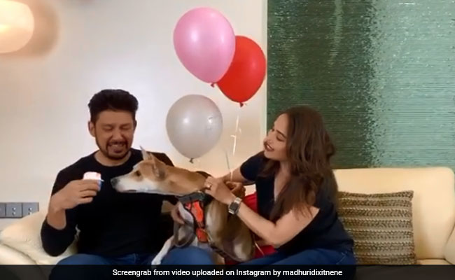 How Madhuri Dixit And Her Pet Pooch Made Sriram Nene's Birthday Extra Special
