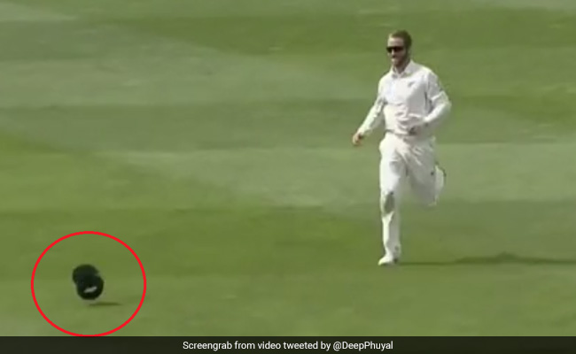 IND vs NZ: गेंद नहीं, टोपी पकड़ने के लिए कप्तान विलियमसन ने लगाई दौड़, आखिर में हुआ ऐसा... देखें Video
