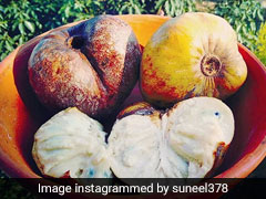 Nutritionist Rujuta Diwekar Recommends Ramphal: 5 Things You Should Know About The Seasonal Fruit Nutritionist Rujuta Diwekar Recommends Ramphal: 5 Things You Should Know About The Seasonal Fruit