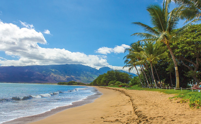 Hawaii Searches For Infected People After Japan Tourist Gets Coronavirus