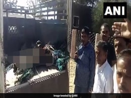 At Least 85 Peacocks Found Dead In Rajasthan At Least 85 Peacocks Found Dead In Rajasthan