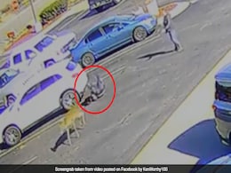 Deer Rushes Straight At Man, Knocks Him To The Ground In Shocking Video Deer Rushes Straight At Man, Knocks Him To The Ground In Shocking Video