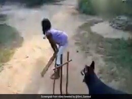 क्रिकेट मैच में विकेटकीपर बना डॉगी, बिजली की रफ्तार से गेंद पर यूं लपका, एक्ट्रेस ने शेयर किया Video क्रिकेट मैच में विकेटकीपर बना डॉगी, बिजली की रफ्तार से गेंद पर यूं लपका, एक्ट्रेस ने शेयर किया Video